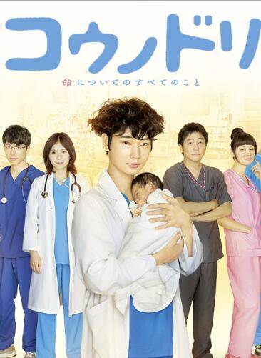 产科医鸿鸟（日本2015年绫野刚主演的电视剧）