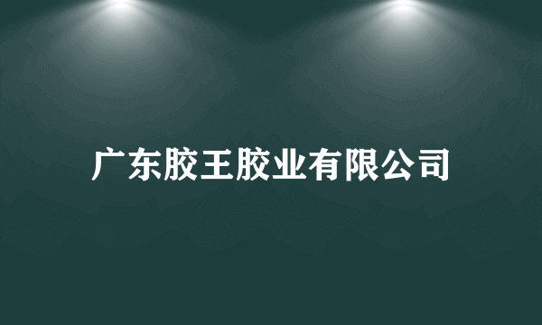 广东胶王胶业有限公司