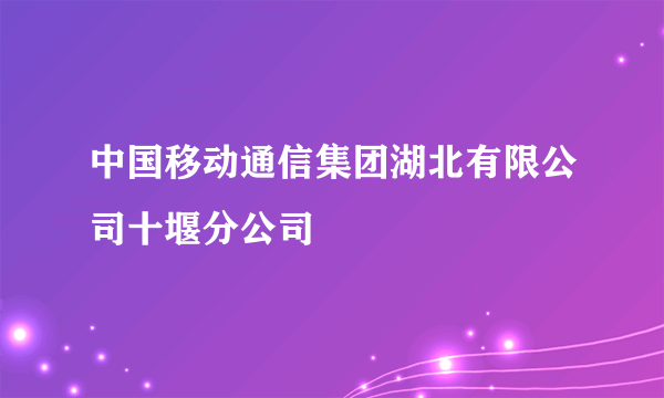 中国移动通信集团湖北有限公司十堰分公司