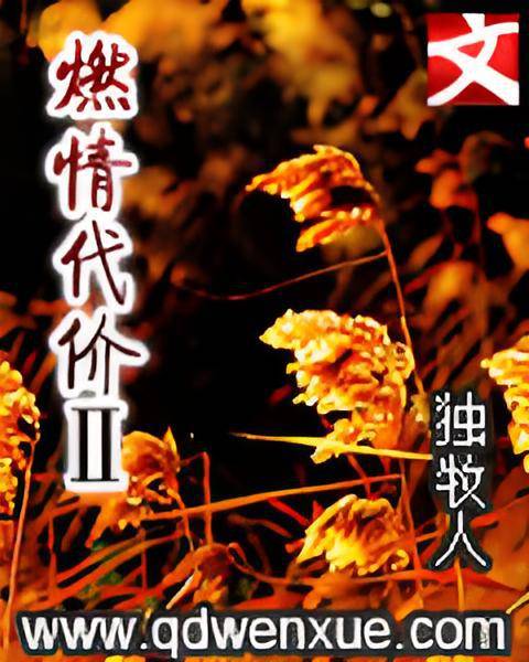 燃情代价Ⅱ（都市类网络小说）