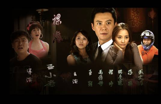 裸婚（王小康执导电视剧）