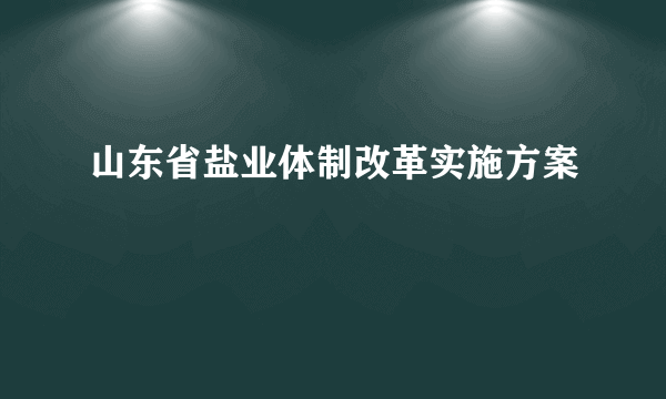 山东省盐业体制改革实施方案
