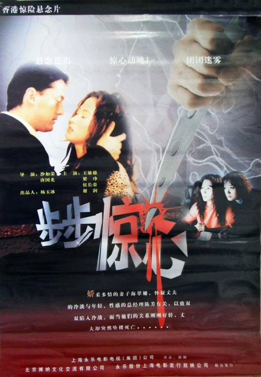 步步惊心（2000年唐国光、沙如荣执导的动作电影）