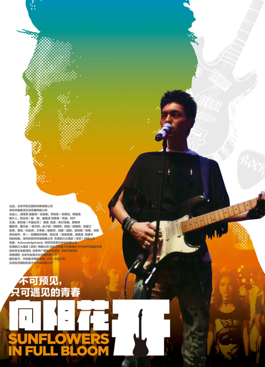 向阳花开（2011年刘宁导演大陆电影）