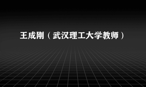 王成刚（武汉理工大学教师）