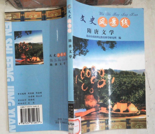 元代文学（2007年新疆青少年出版社出版的图书）