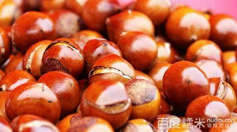 迁西壮栗