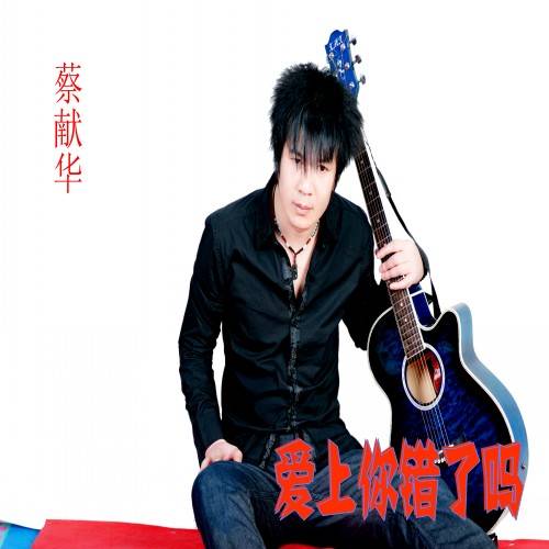 爱上你错了吗（2013年蔡献华发行的音乐专辑）