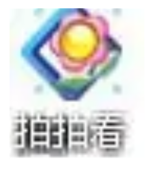 拍拍看