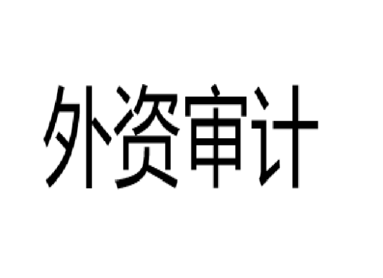 外资审计
