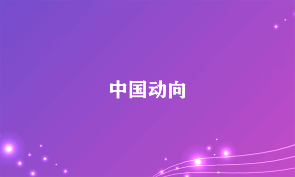 中国动向