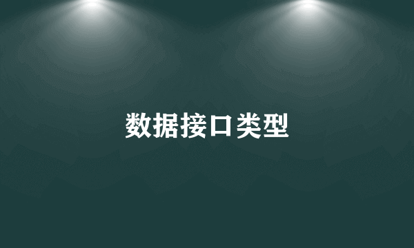 数据接口类型