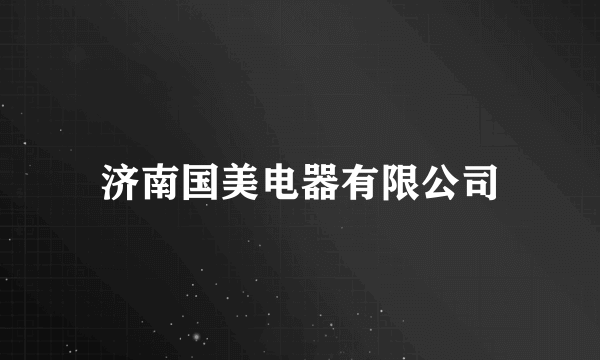 济南国美电器有限公司