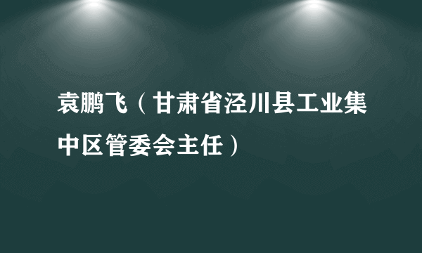 袁鹏飞（甘肃省泾川县工业集中区管委会主任）
