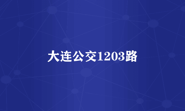大连公交1203路