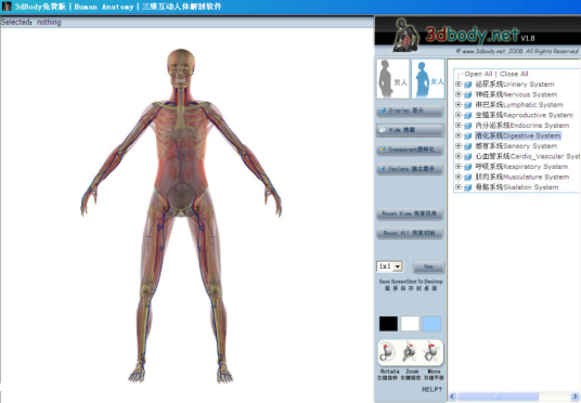 探索人体奥秘：3dbody三维人体解剖软件