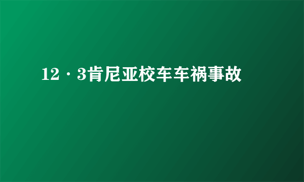12·3肯尼亚校车车祸事故