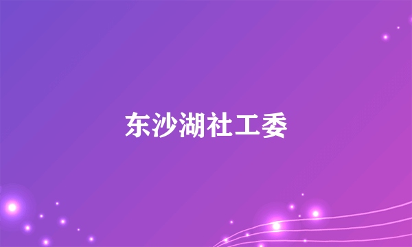 东沙湖社工委