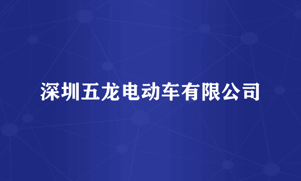 深圳五龙电动车有限公司