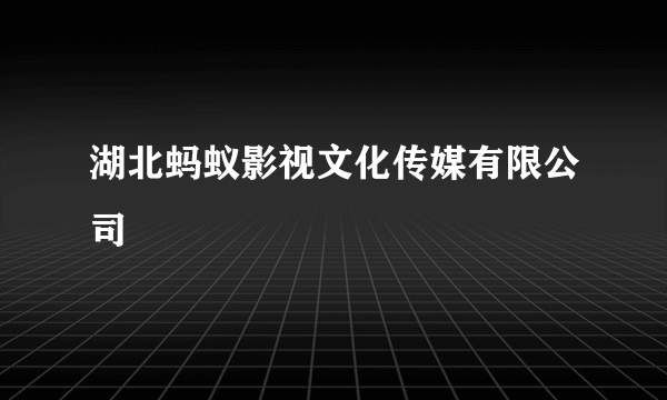 湖北蚂蚁影视文化传媒有限公司