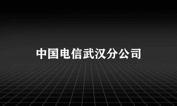 中国电信武汉分公司