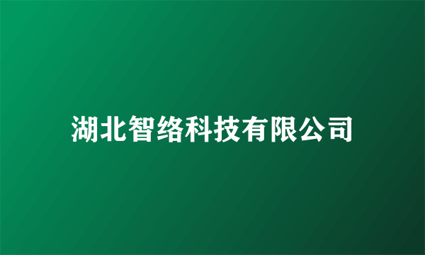 湖北智络科技有限公司