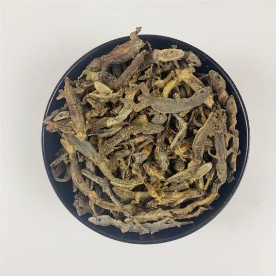 天龙（中药）