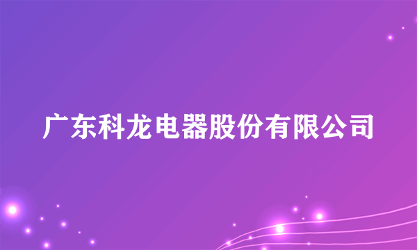 广东科龙电器股份有限公司