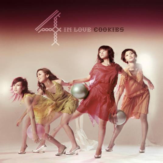 派对动物（2004年由Cookies演唱的歌曲）