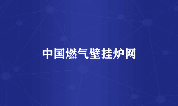 中国燃气壁挂炉网