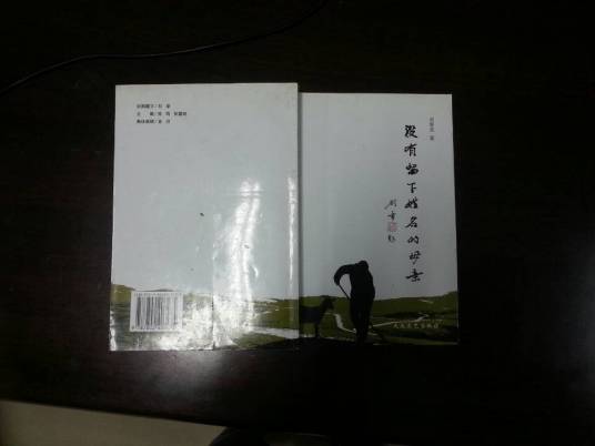 刘春美（石家庄铁道大学图书馆员工）