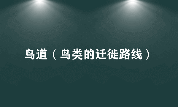鸟道（鸟类的迁徙路线）