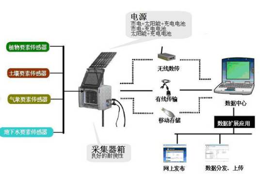 生态系统结构