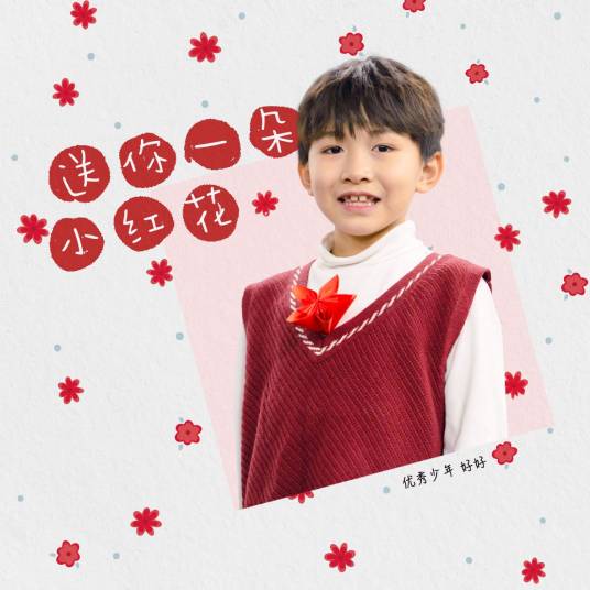 送你一朵小红花（优秀少年好好演唱歌曲）