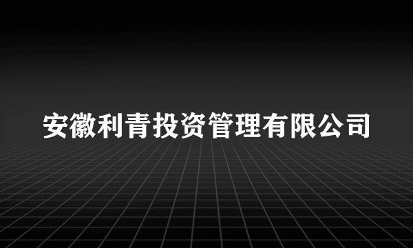 安徽利青投资管理有限公司