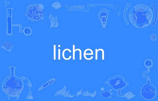 lichen