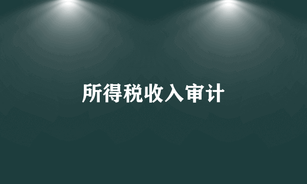 所得税收入审计