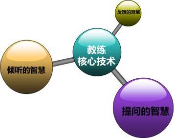 行动学习教练