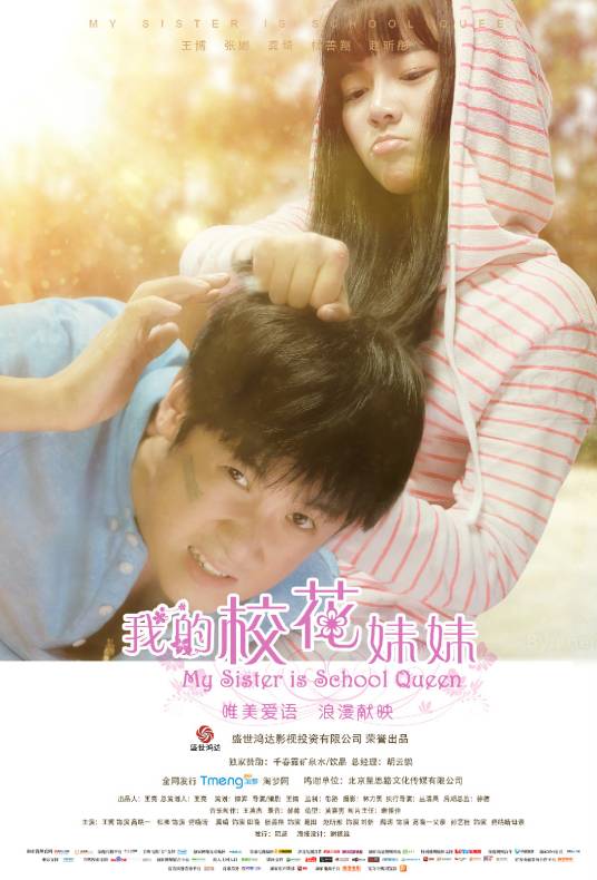 我的校花妹妹（2014年王博执导的喜剧电影）