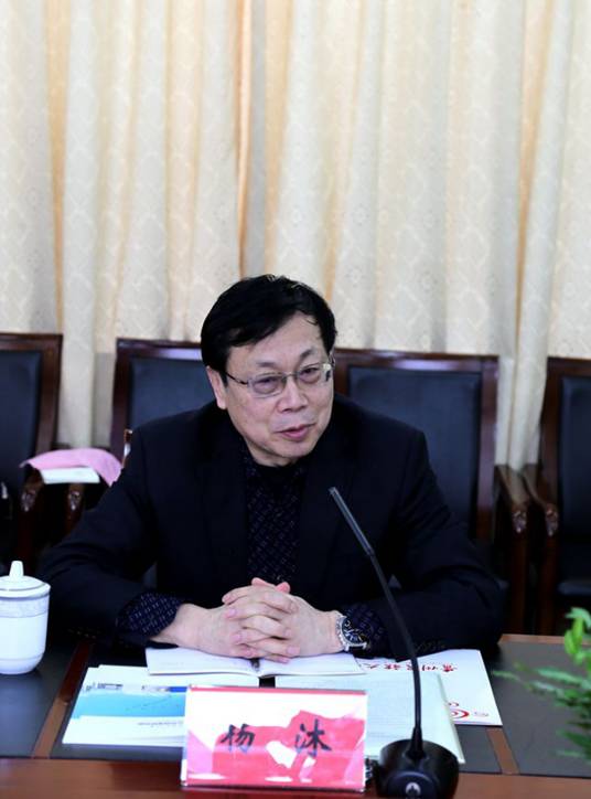 杨沐（华南理工大学公共政策研究院原执行院长）