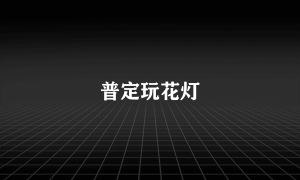 普定玩花灯