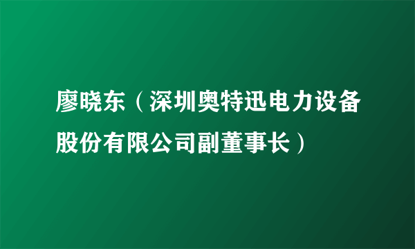 廖晓东（深圳奥特迅电力设备股份有限公司副董事长）