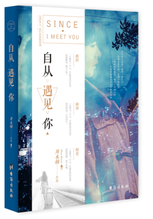 自从遇见你（2017年台海出版社出版的图书）