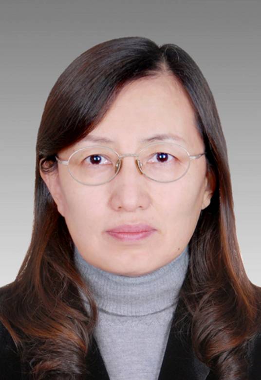 卫星（上海市青浦区发展和改革委员会党组书记、主任）