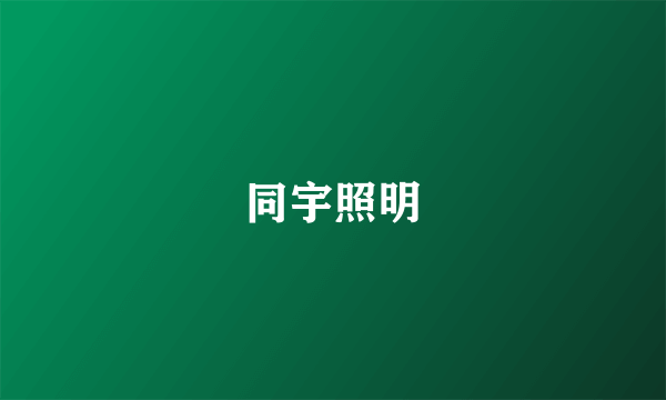 同宇照明