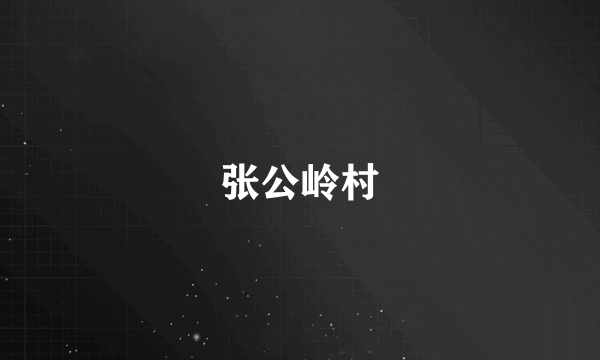 张公岭村