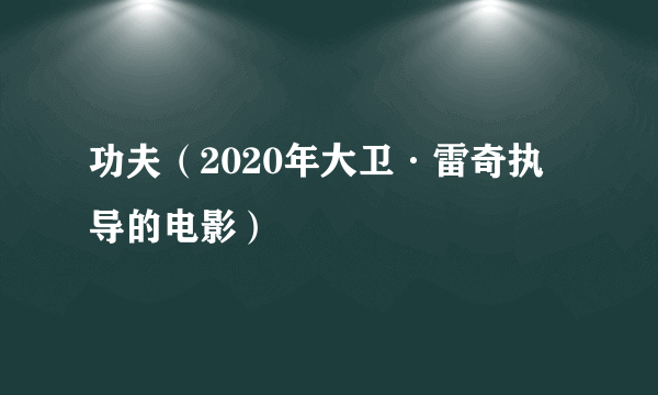 功夫（2020年大卫·雷奇执导的电影）