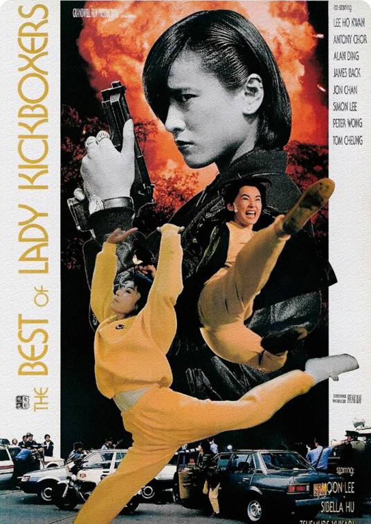 火种（1993年陈鎏、鲁俊谷执导的动作电影）