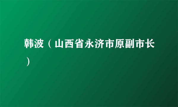 韩波（山西省永济市原副市长）