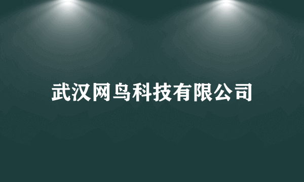 武汉网鸟科技有限公司